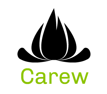 Logo of the Carew project, which uses Symfony components